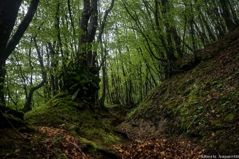 Appennino