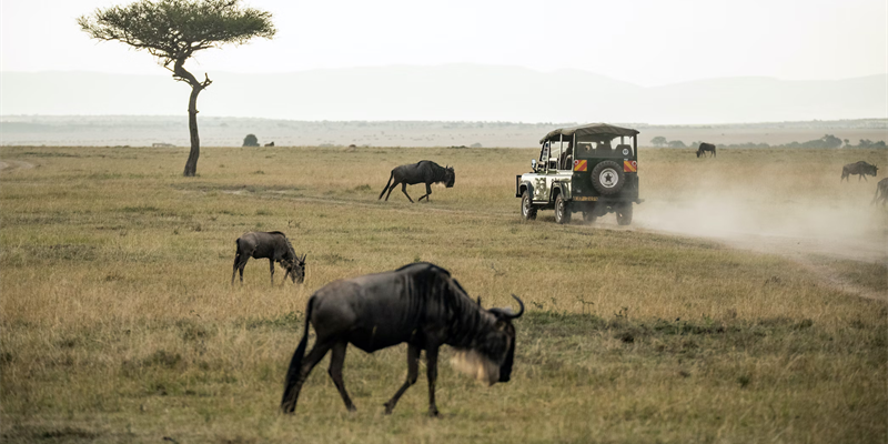 Turismo in Africa