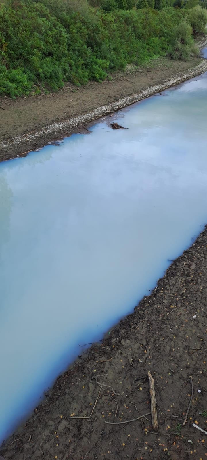 Alcuni scatti allegati del lago di bilancino