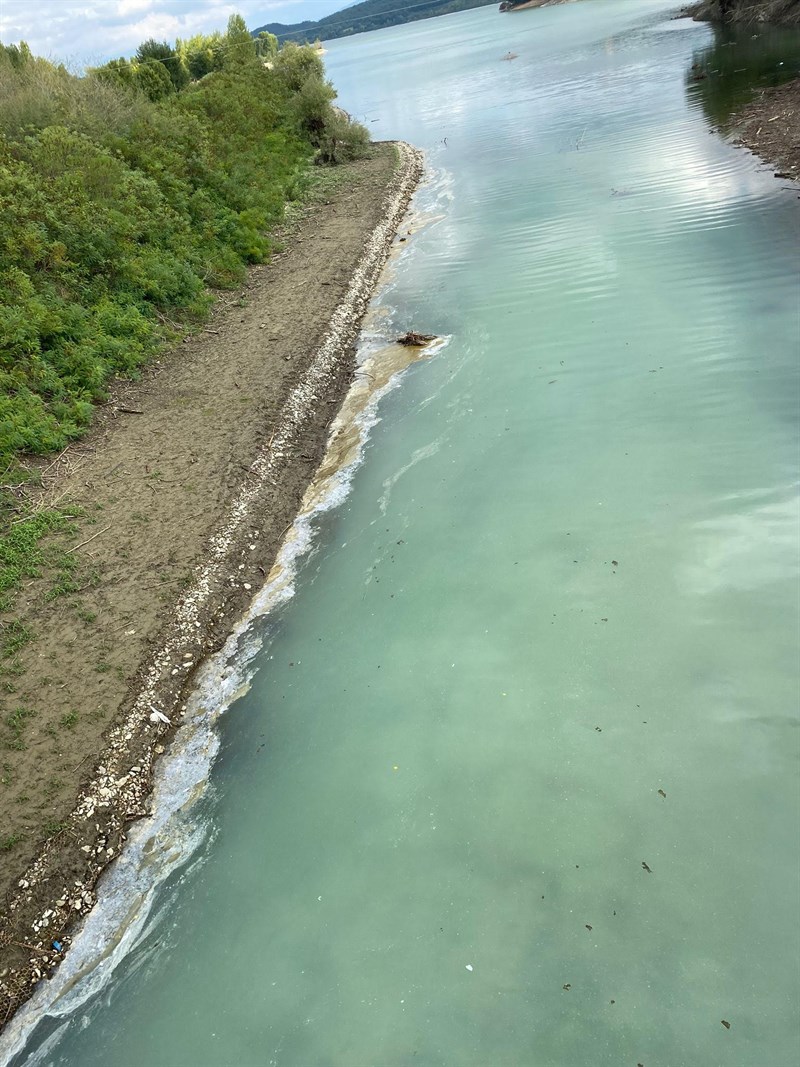 Alcuni scatti allegati del lago di bilancino