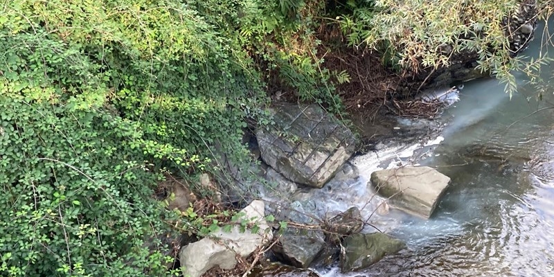 Alcuni scatti allegati del lago di bilancino