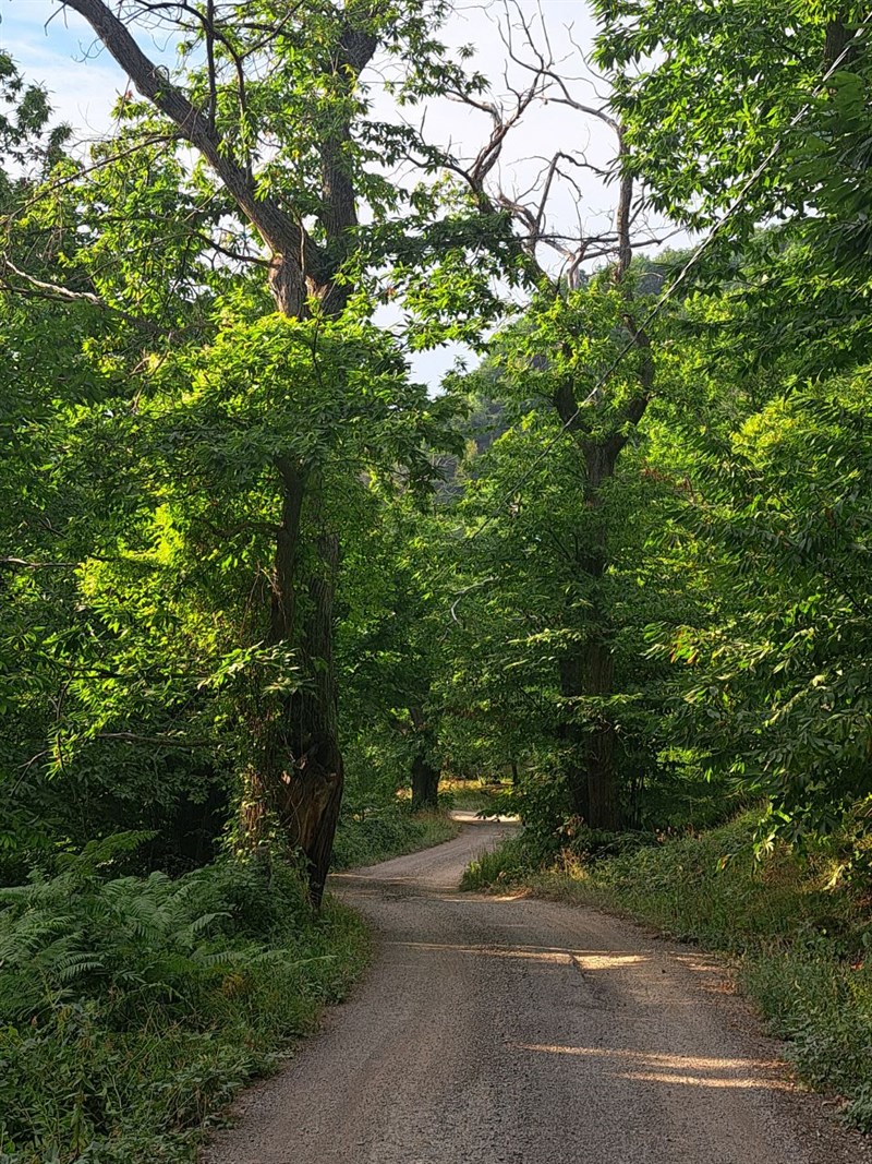 Lavori in corso