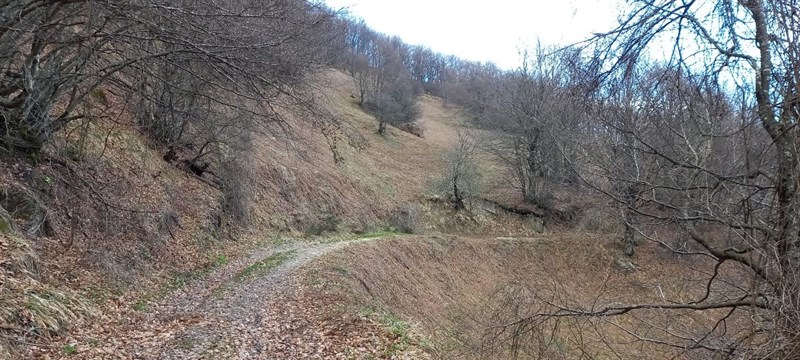 Lavori in corso