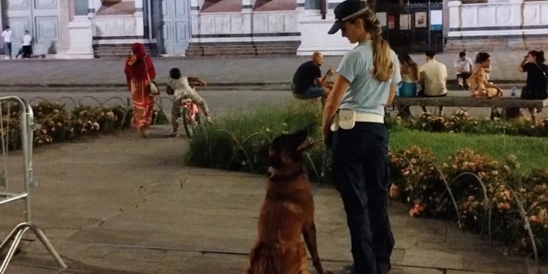 Unità cinofile al lavoro