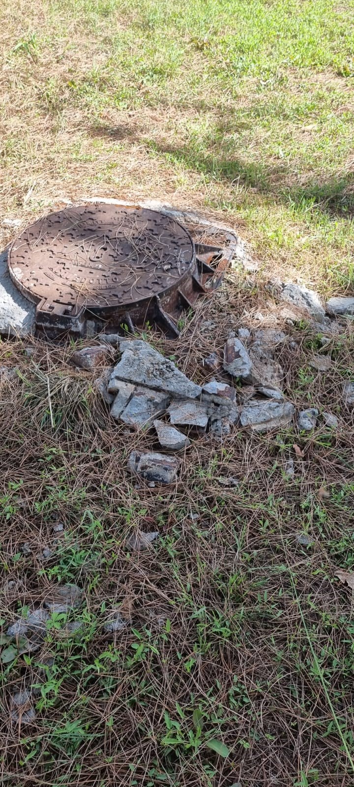 Borgo, taglio erba in ciclabile con ingenti danni agli alberi: la denuncia di Ticci