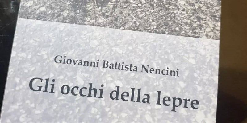 Gli occhi della lepre