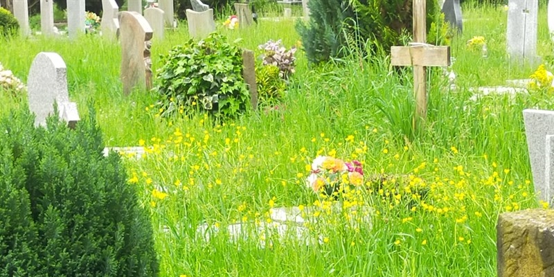 Tavarnelle: investimento da 230mila euro per la rimozione dell’amianto da alcune strutture del cimitero 