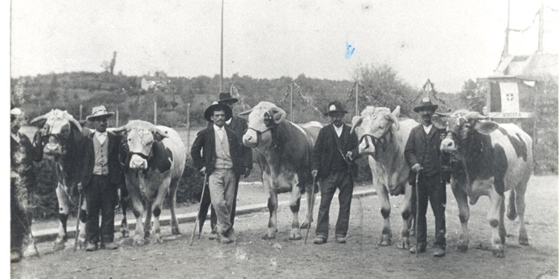 La Fiera sui Poggi torna a San Godenzo tra storia, tradizione e identità rurale