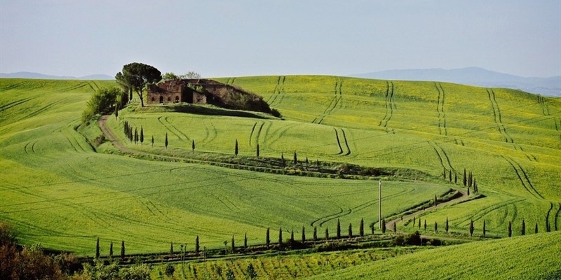 Dopo la festa di "Vetrina Toscana" guardiamo in faccia la realtà dell'enoturismo