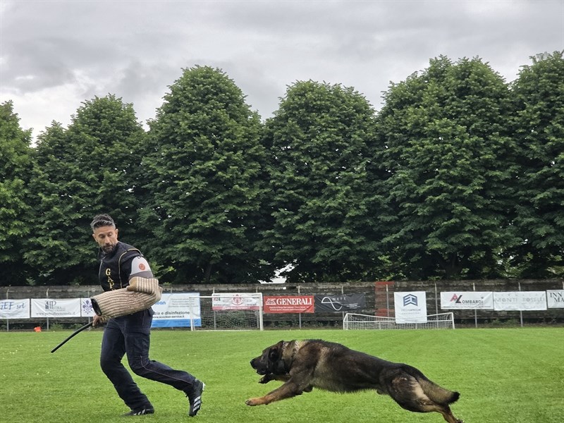 Unità Cinofile Carabinieri