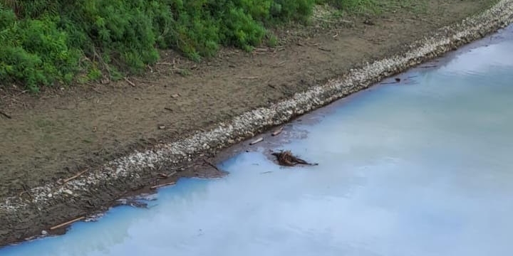 Alcuni scatti allegati del lago di bilancino