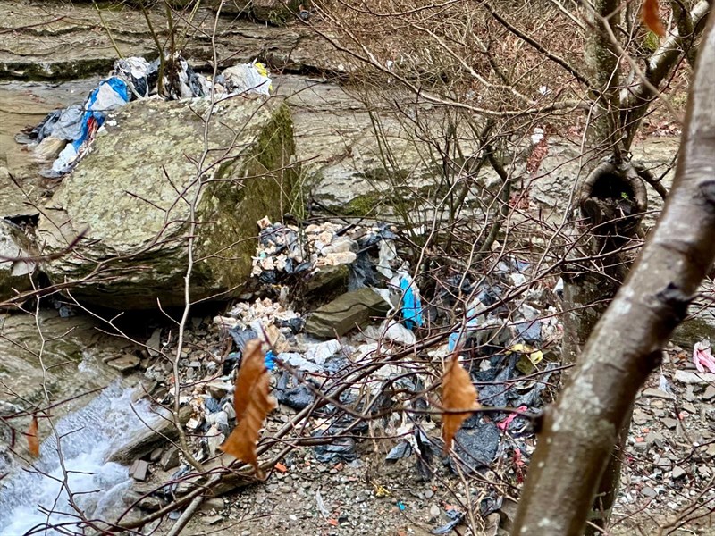 Discarica nascosta lungo il fiume Rovigo, consigliera Noferi in sopralluogo