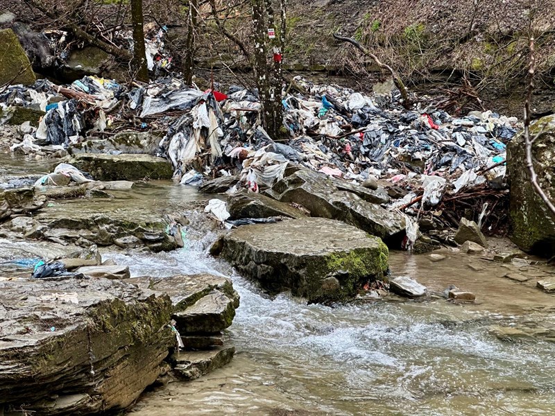 Discarica nascosta lungo il fiume Rovigo, consigliera Noferi in sopralluogo