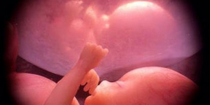 Immagini di un bambino