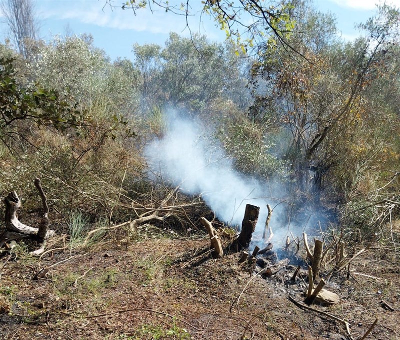 Incendio San Clemente