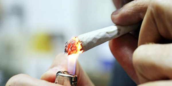 I cani antidroga della Municipale al lavoro nel quartiere