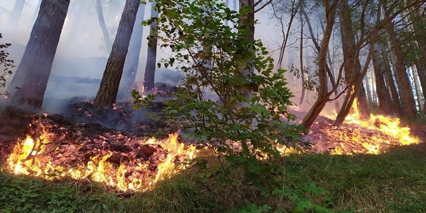 Rischio incendi boschivi. 