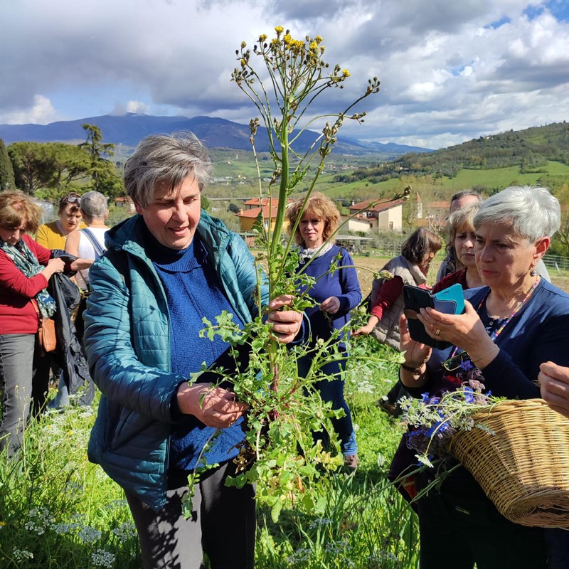 20 anni paese sulla collina