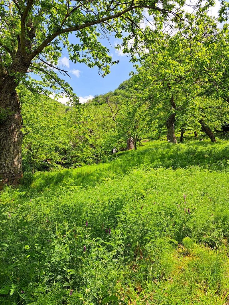 La bellezza del nostro ambiente