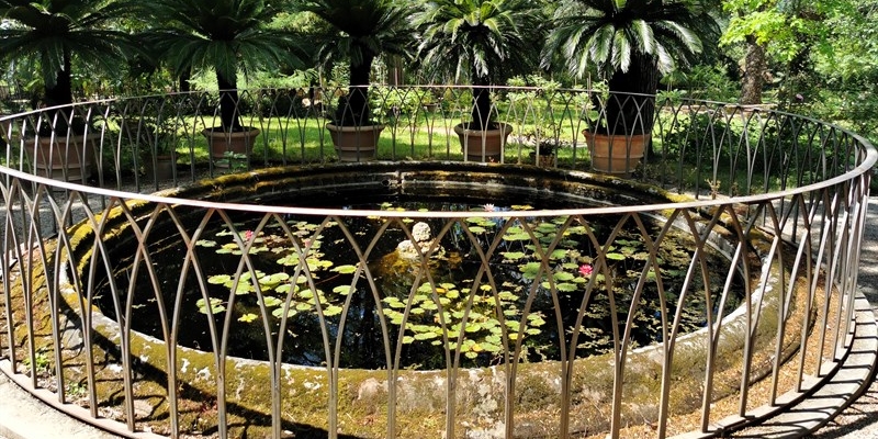 il giardino della botanica superiore