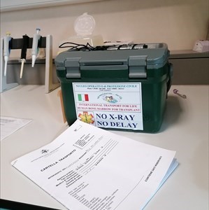 Il regalo di Natale pronto a viaggiare verso nord