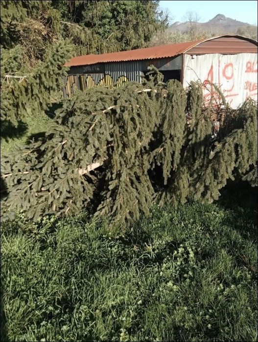 Vandali in azione a Santa Maria a Vezzano