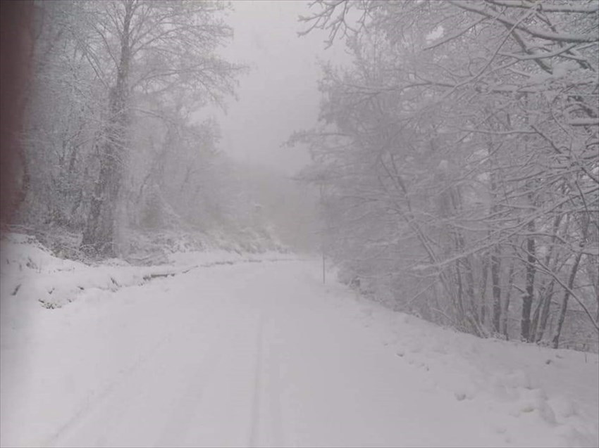 Neve sulla provinciale Londa - Stia