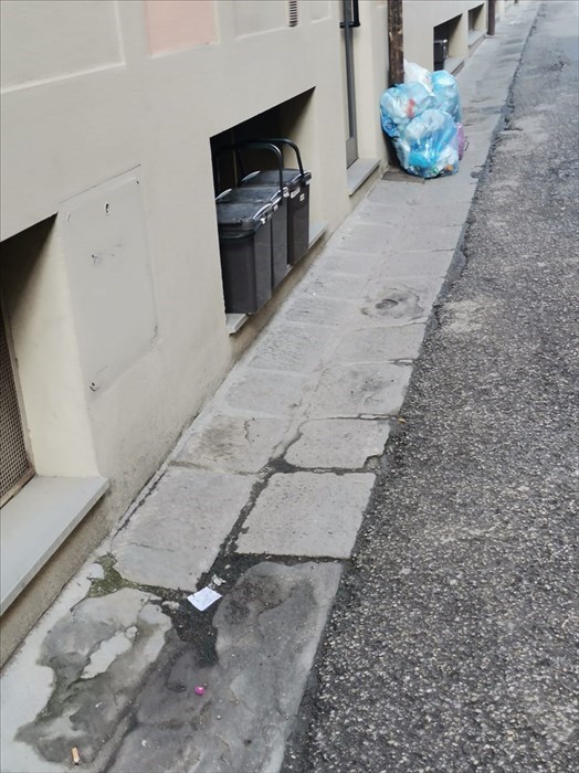 I rifiuti rimasti in strada