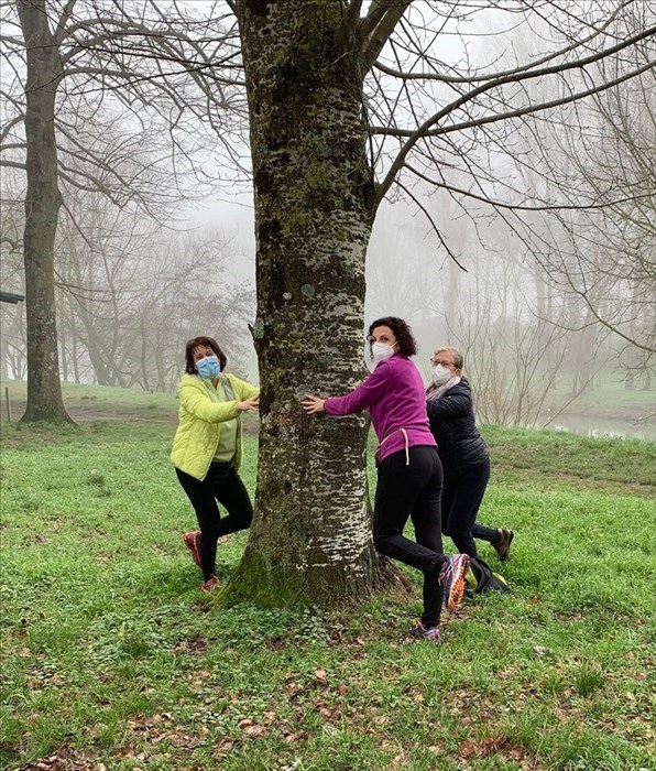 L'attività durante il Fitwalking