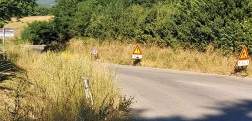 Erba sulla strada per Piazzano