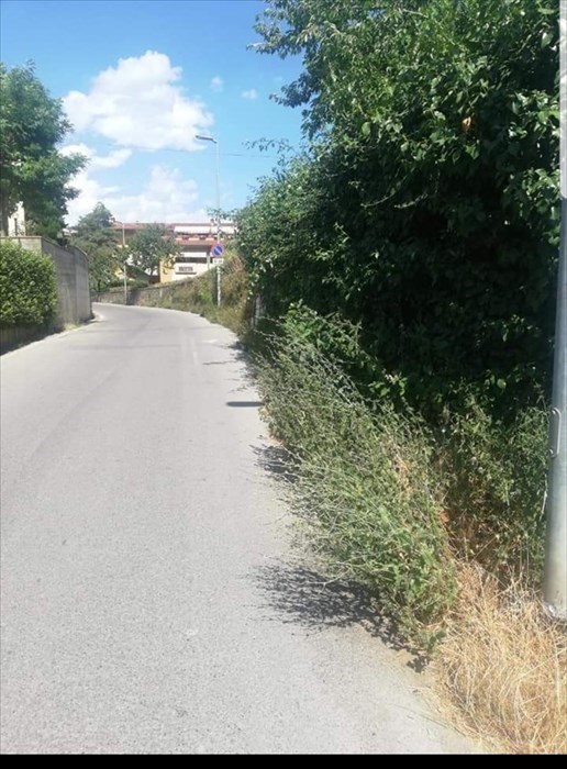 Via Colognese a Montebonello ai lati piena di erbacce: la foto di un lettore