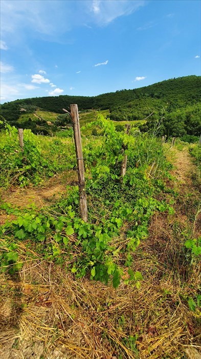 Foto-denuncia della situazione a Castiglionchio realizzate dall'associazione "Vivere in Valdisieve"