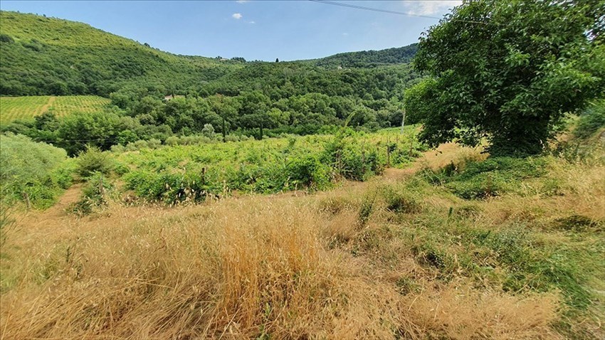 Foto-denuncia della situazione a Castiglionchio realizzate dall'associazione "Vivere in Valdisieve"