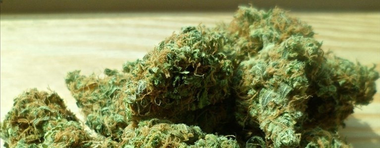 spaccio alle Cascine