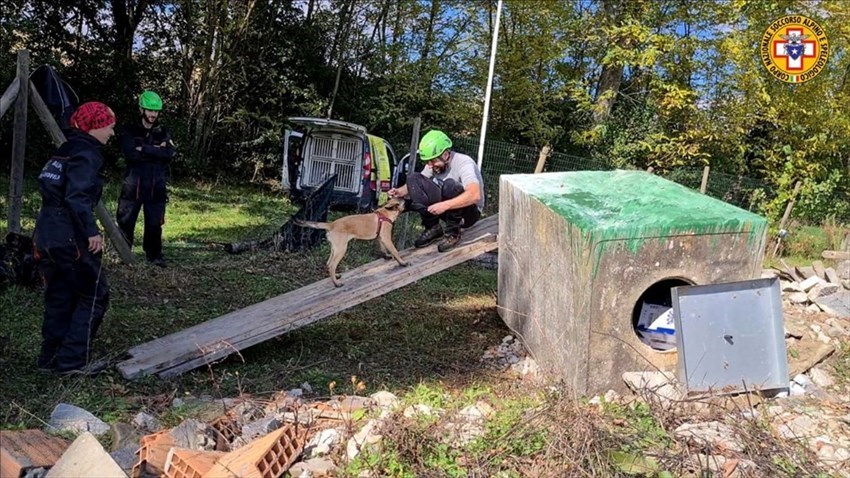 Un momento dell'addestramento