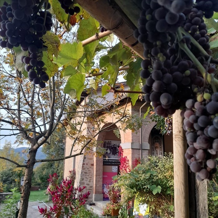 Attività alla Casa di Giotto