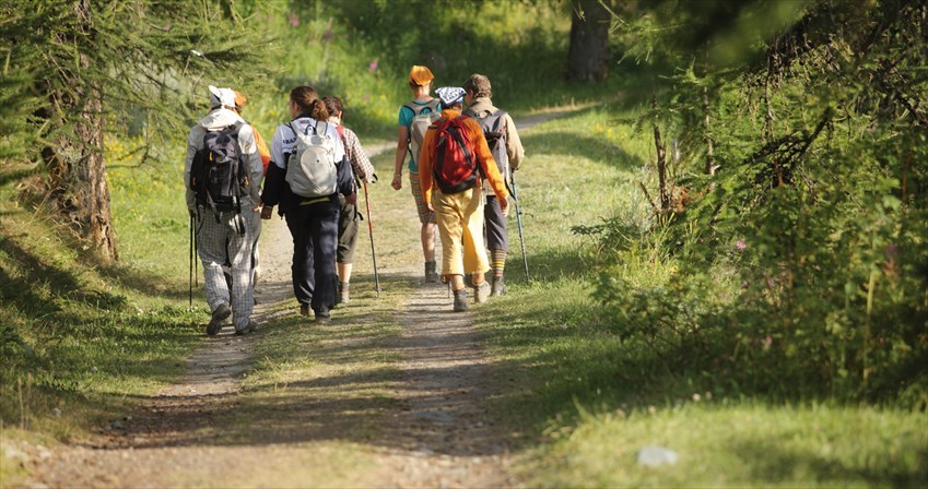 Trekking