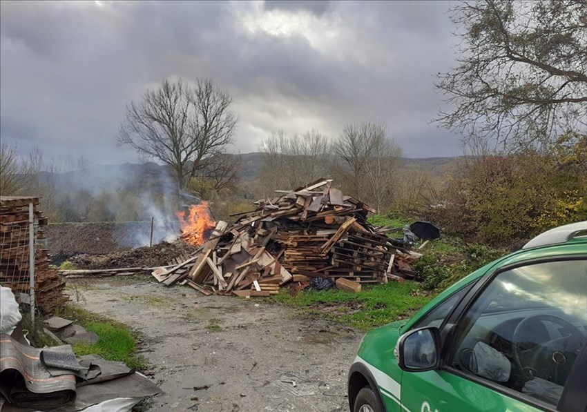 I forestali sul posto