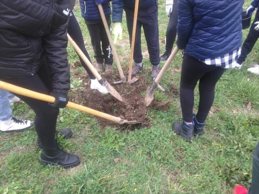 La festa dell'albero