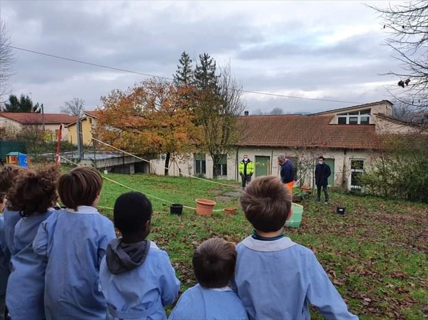 La festa dell'albero