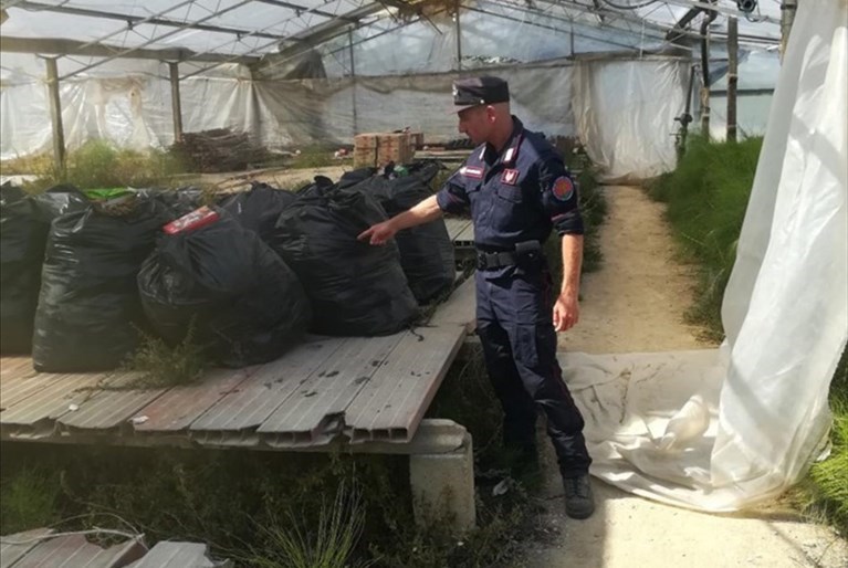 i rifiuti trovati nell'azienda agricola