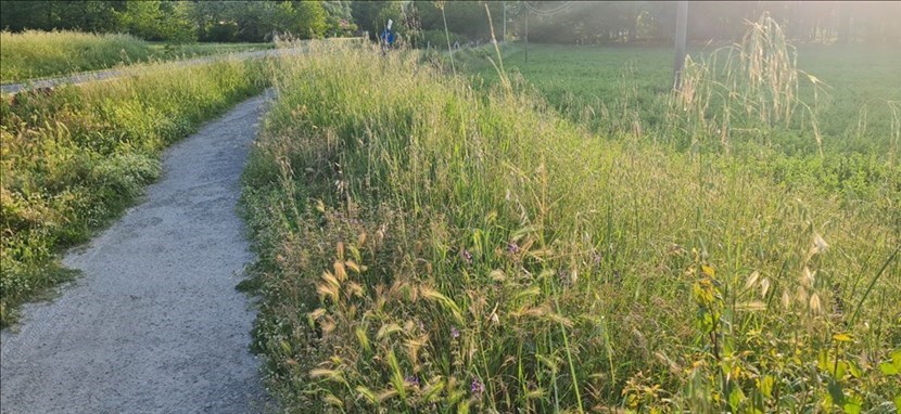 La ciclabile nella zona di Vicchio