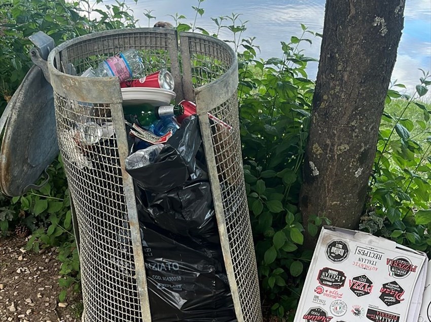 La foto della lettrice