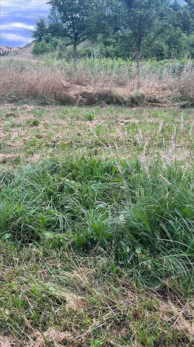 Le foto della nostra lettrice