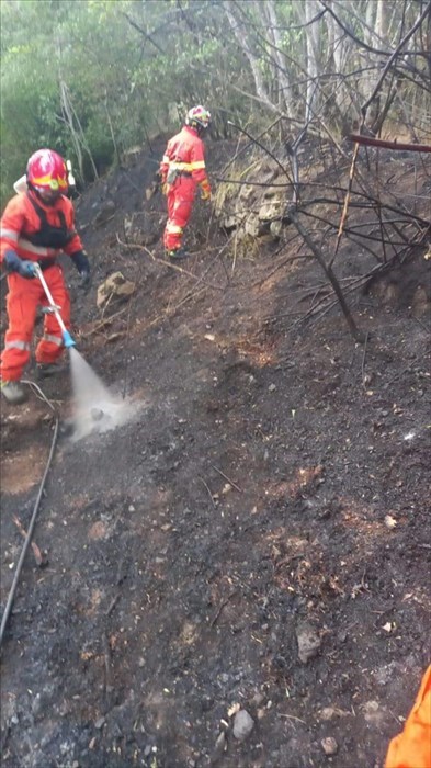 Incendio a Londa, Vab Valdisieve