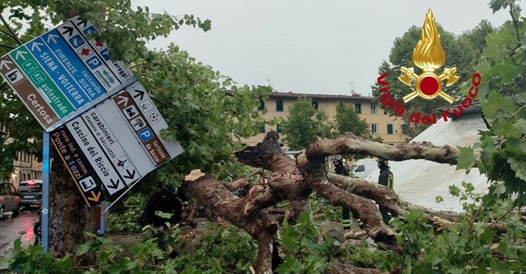 calcinacci in strada a Firenze