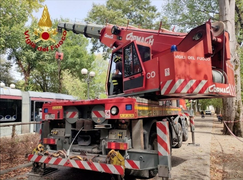 L'intervento alla tramvia alle Cascine