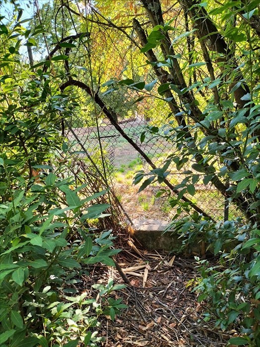 L'area del Pellegrino