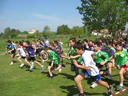 Borgo. La campestre delle medie: i risultati e le foto