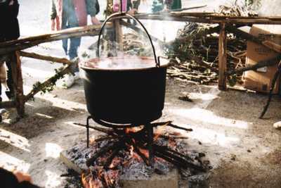 Castagne e Vin Brulè. Ecco dove andare domenica...